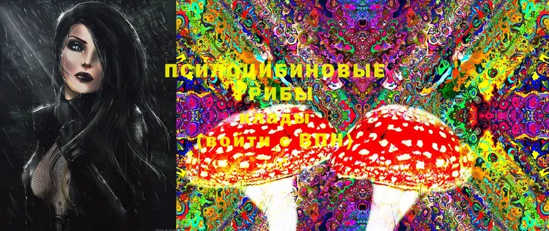 Псилоцибиновые грибы Magic Shrooms  нарко площадка официальный сайт  Канаш 